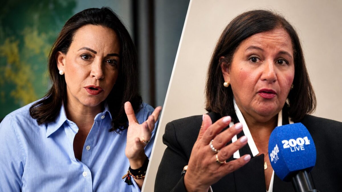 : Dinorah Figuera, representante de la AN electa en 2015.